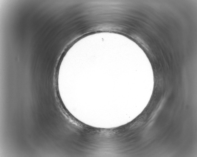 X0000068310848200605122028