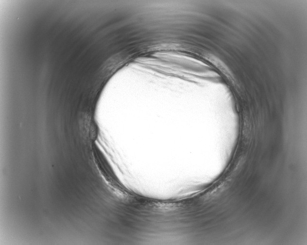 X0000068310849200605122028