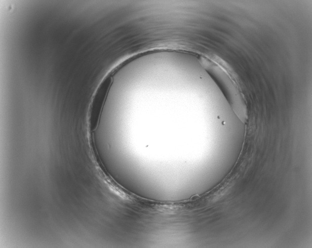 X0000068310854200605122028