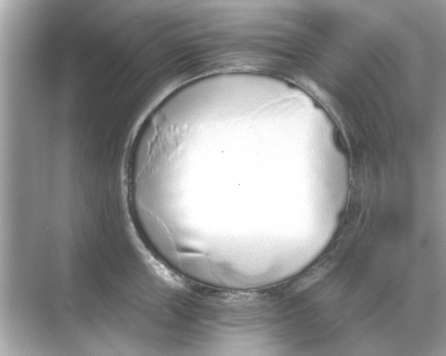 X0000068310859200605122028