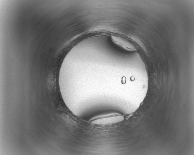 X0000068310872200605122027