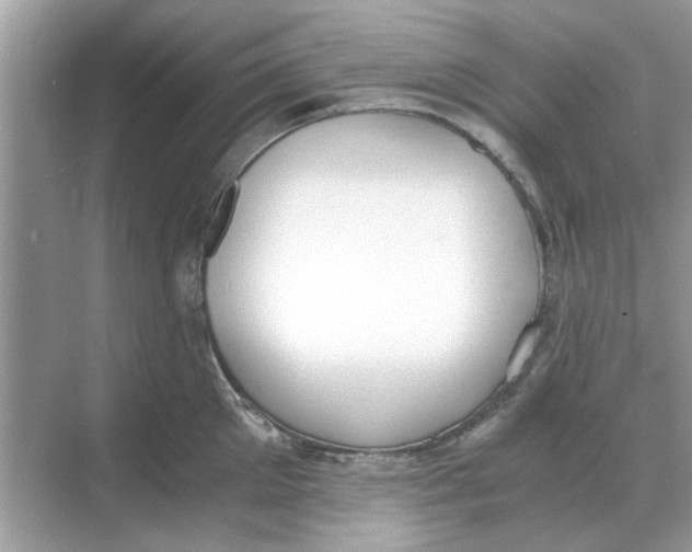 X0000068310905200605122027