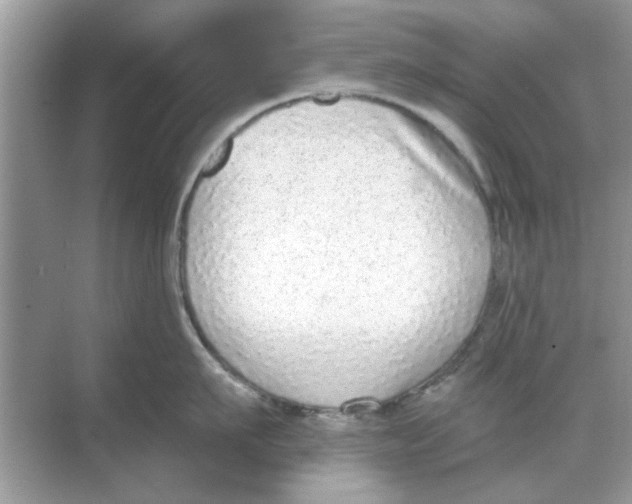 X0000068310911200605122026