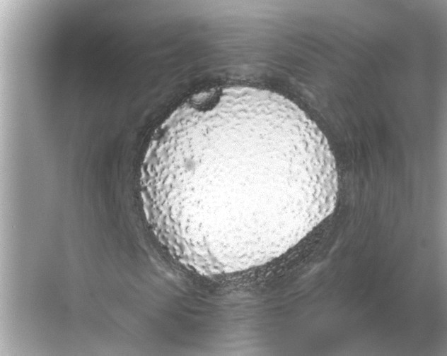 X0000068310913200605122026