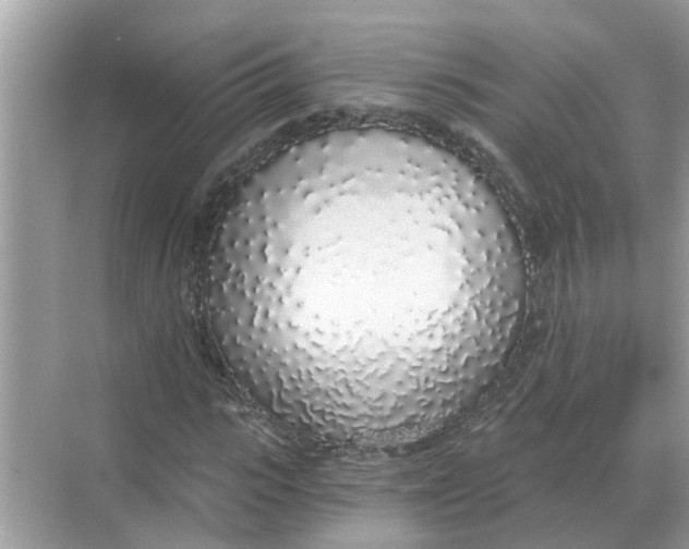 X0000068310919200605122026