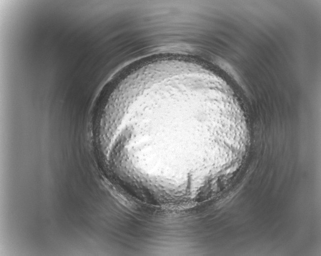 X0000068310923200605122026