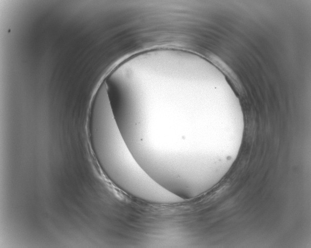 X0000068310956200605122026