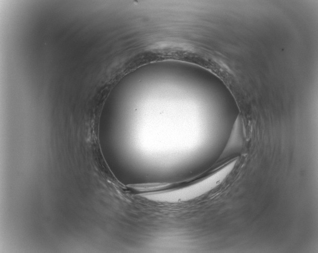 X0000068310965200605122026