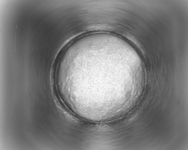 X0000068310983200605122025