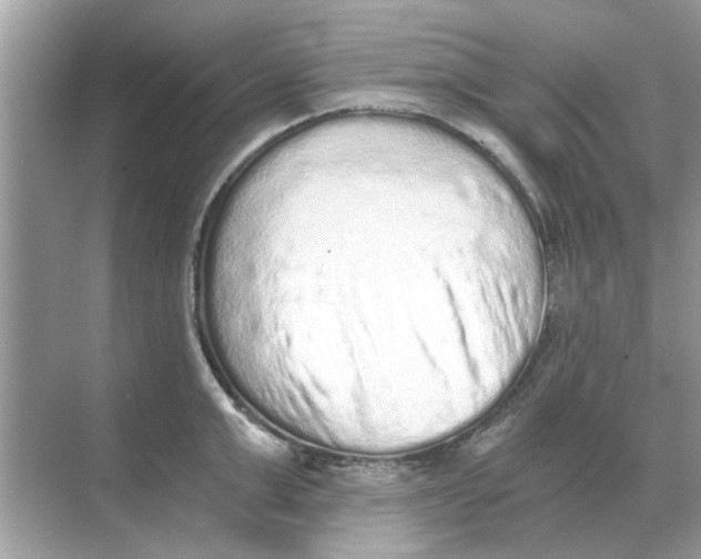 X0000068310999200605122025
