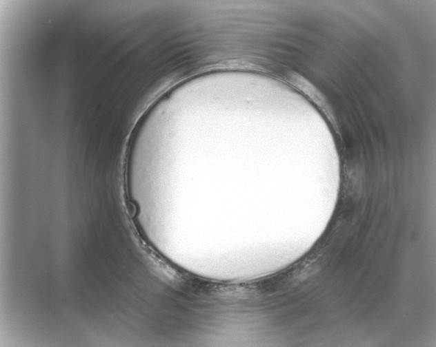 X0000068311002200605122025