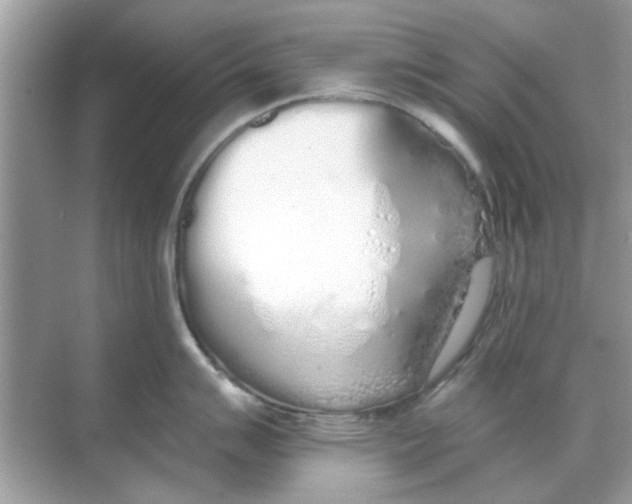 X0000068311007200605122025