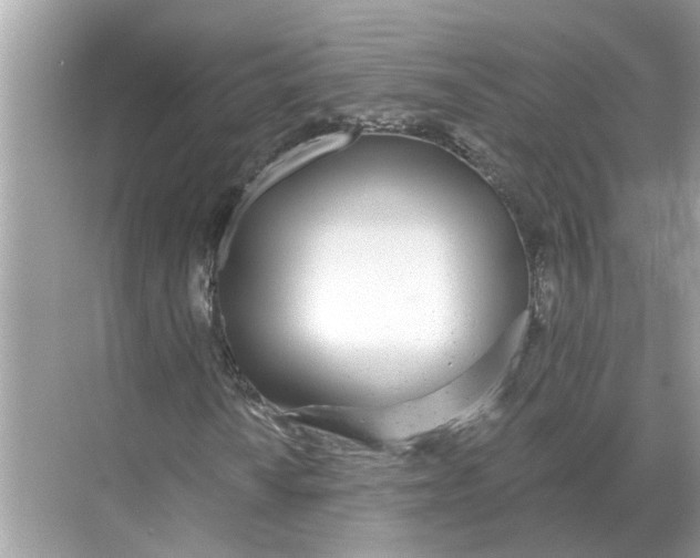 X0000068311010200605122024