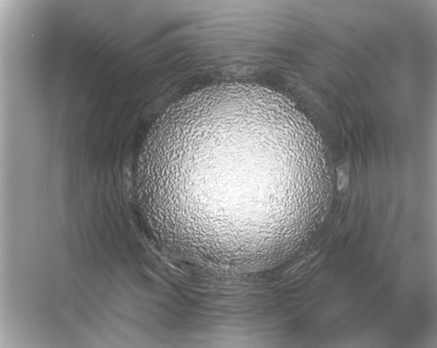 X0000068311011200605122024