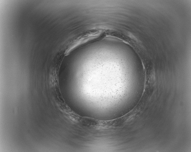 X0000068311014200605122024