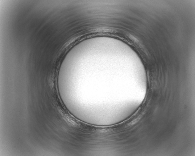 X0000068311017200605122024
