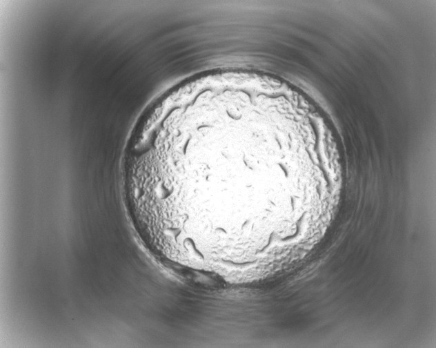 X0000068311045200605122025