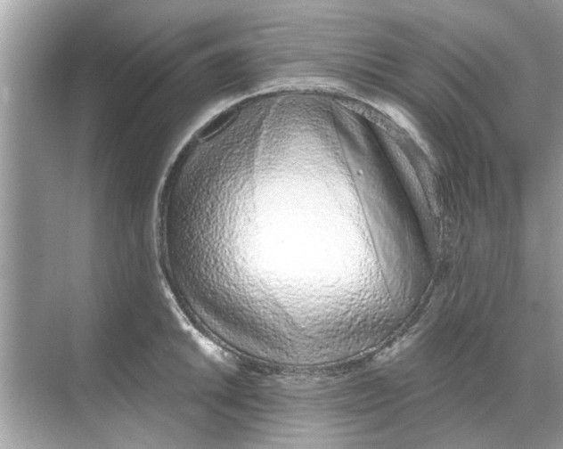 X0000068311046200605122025