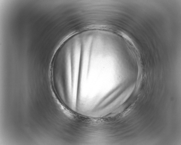 X0000068311050200605122025