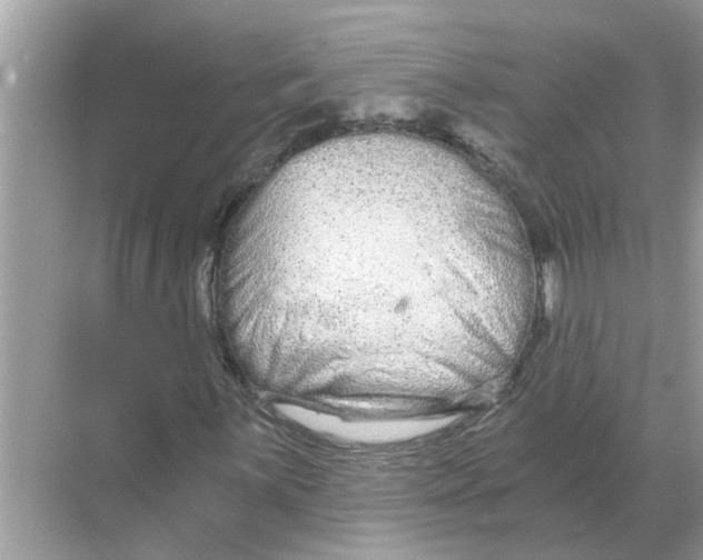 X0000068311059200605122024