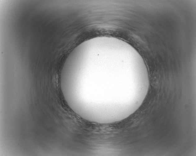 X0000068311061200605122024
