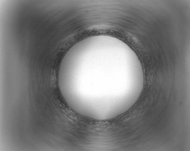 X0000068311062200605122024