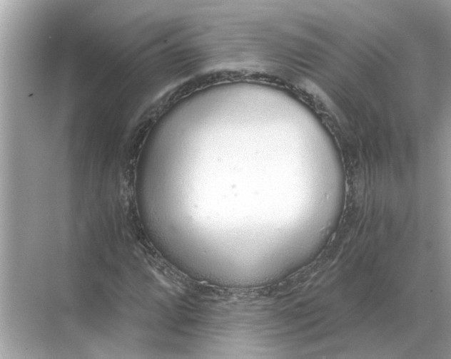 X0000068311064200605122024