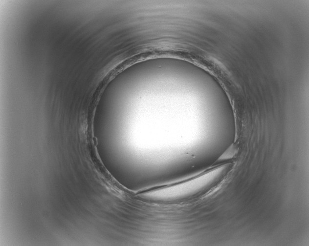 X0000068311065200605122024