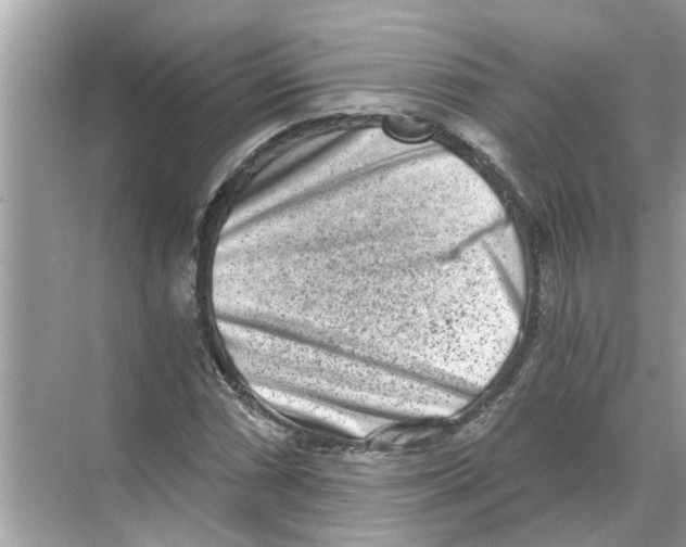 X0000068311066200605122024