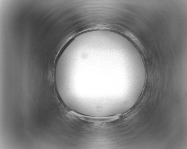 X0000068311097200605122023