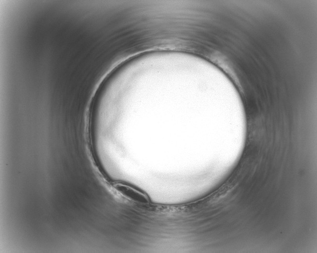 X0000068311099200605122023