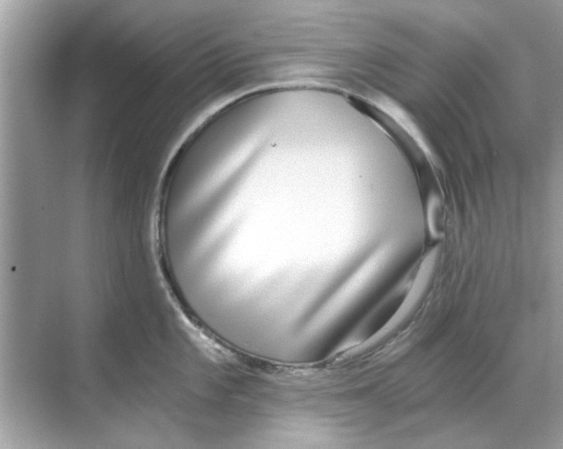X0000068311101200605122023