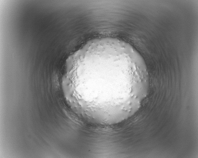 X0000068311106200605122022