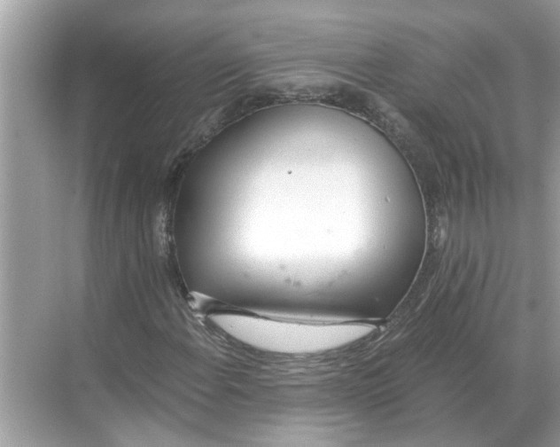 X0000068311108200605122022