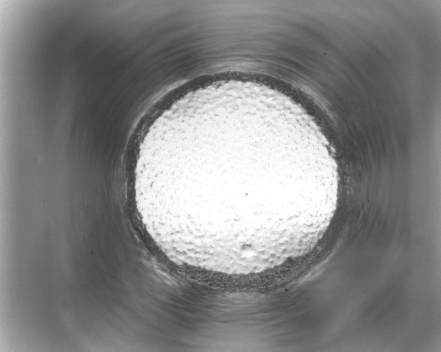 X0000068311117200605122023