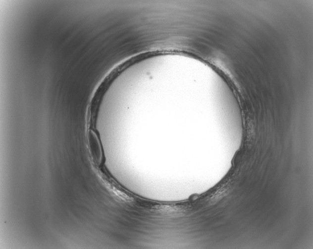 X0000068311124200605122023