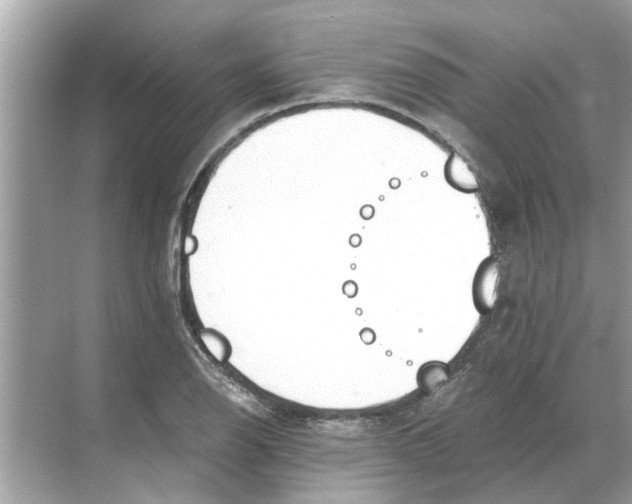 X0000068311126200605122023