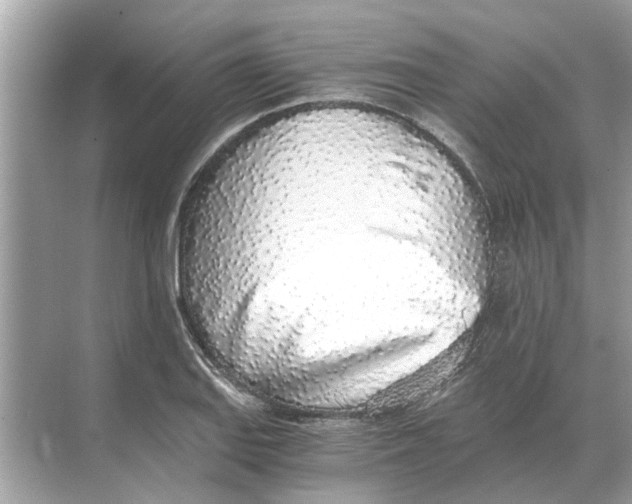 X0000068311127200605122023