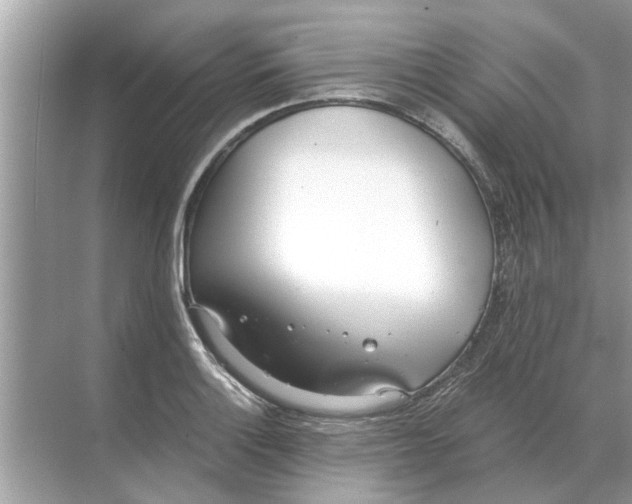 X0000068311132200605122023