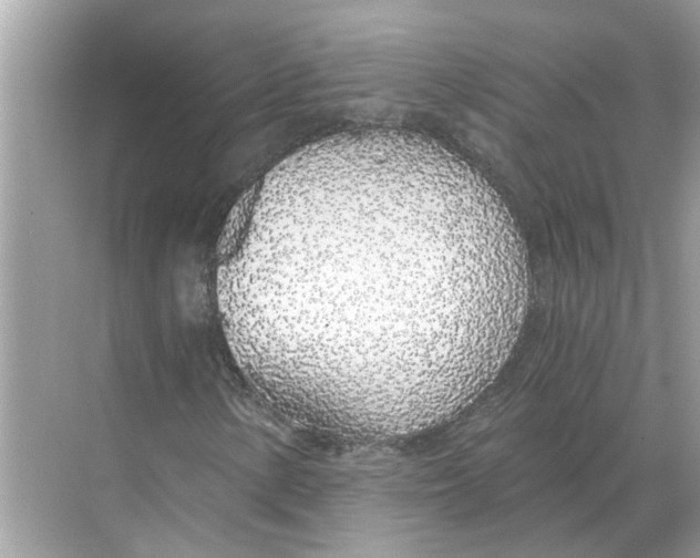 X0000068311154200605122022