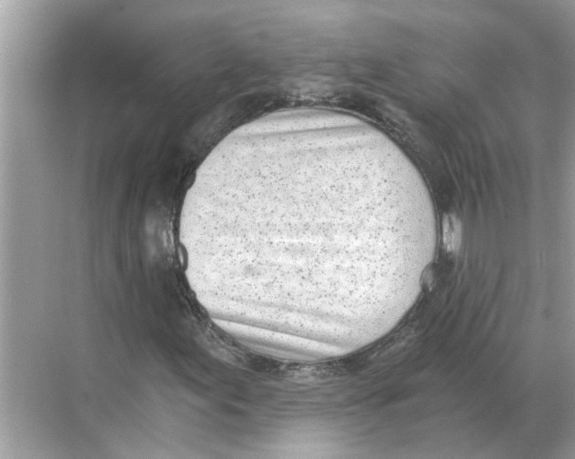 X0000068311155200605122022