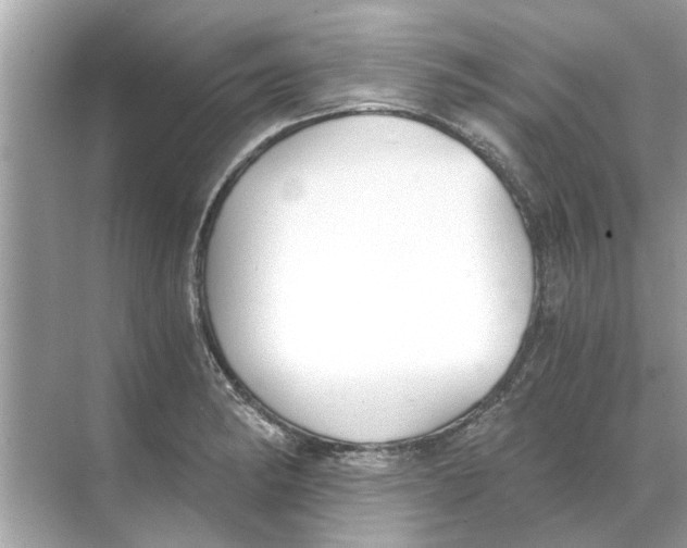 X0000068311182200605122022