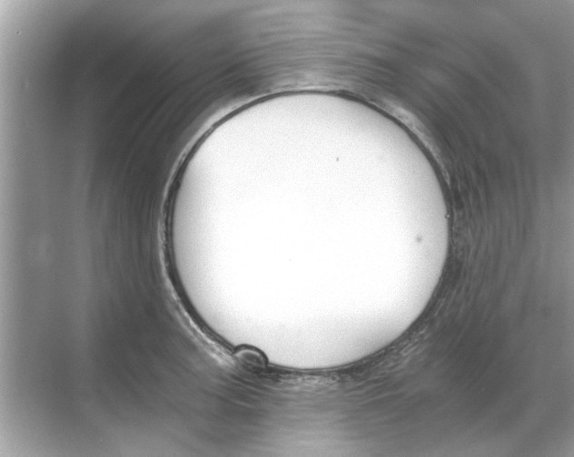 X0000068311187200605122022