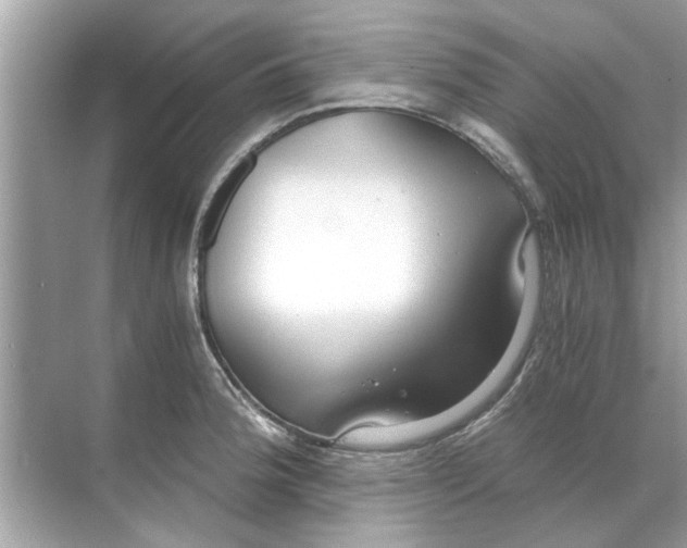 X0000068311188200605122022