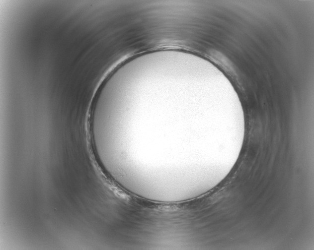 X0000068311190200605122022