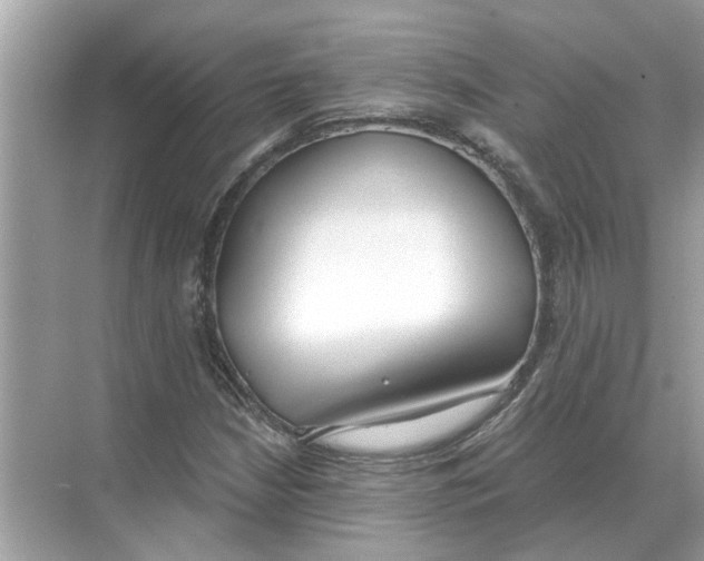 X0000068311210200605122021