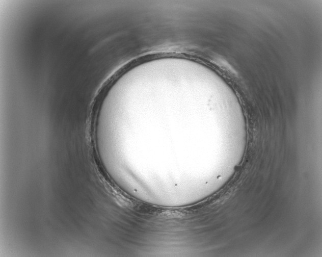 X0000068311216200605122021