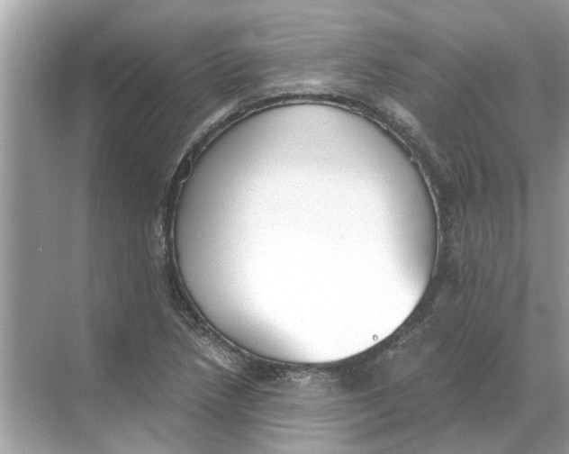 X0000068311218200605122021