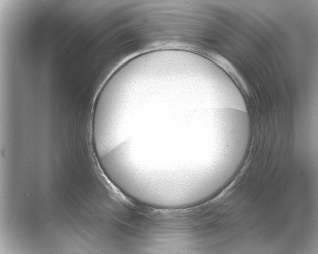 X0000068311244200605122021