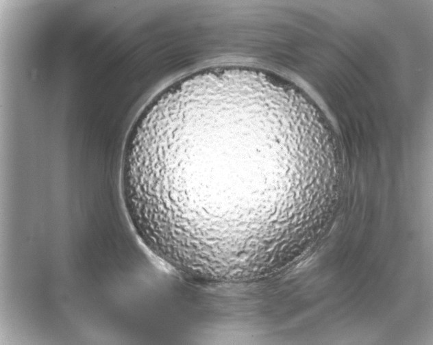 X0000068311245200605122021